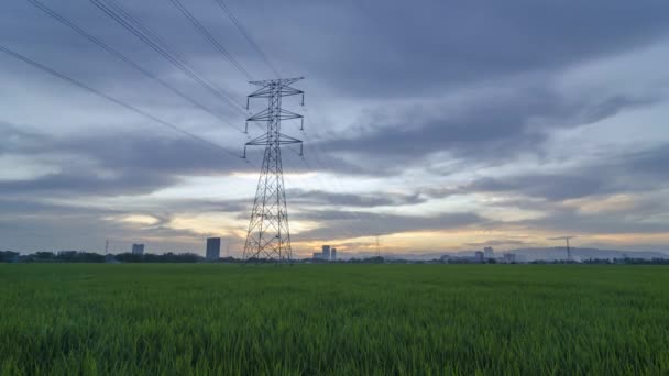 Timelapse Dusk Hour Electric Tower Paddy Field — Vídeo de stock