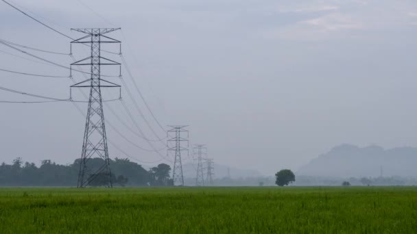 Timelapse Foggy Morning Electric Tower Oaddy Field — Stock video