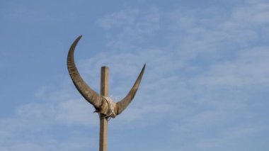 Timelapse cloud move over horn of cow in blue sky