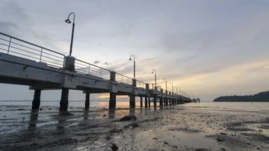Timelapse sea creature move at coastal in sunrise morning at Pulau Jerejak Jetty