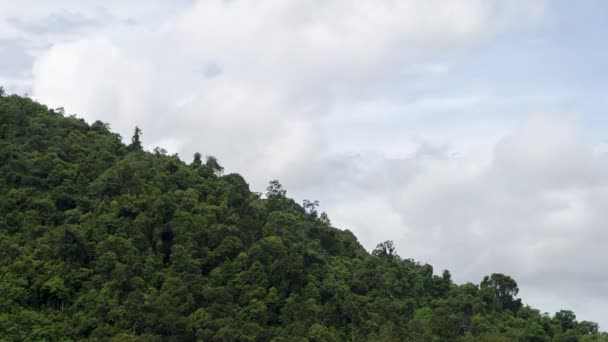 Timelapse Sunshine Day Tropical Rainforest Malaysia — Stok video