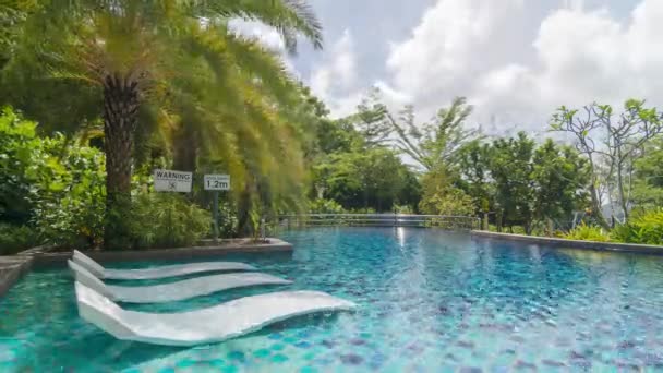 Timelapse View Sunny Day Beautiful Pool Side Palm Tree — Stok Video