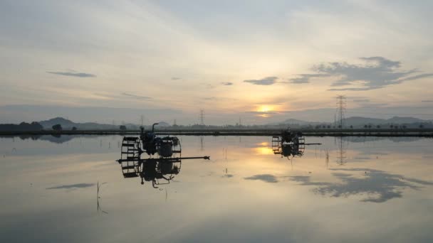 Timelapse Lever Soleil Tracteur Dans Rizière Dans Eau Réflexion — Video