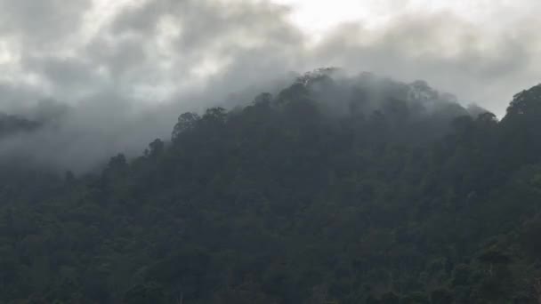 Timelapse Vista Salida Del Sol Sobre Selva Tropical Penang Neblina — Vídeos de Stock
