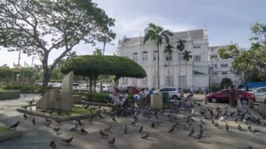 Zaman çizelgesi insanlar güvercinleri besliyor