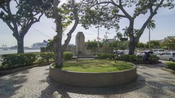 Timelapse vista árvores em Esplanade — Vídeo de Stock