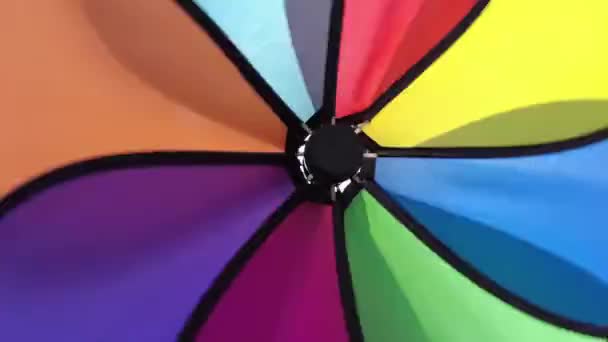 Slowly Move Colorful Pinwheel Spin Wind — Stock Video