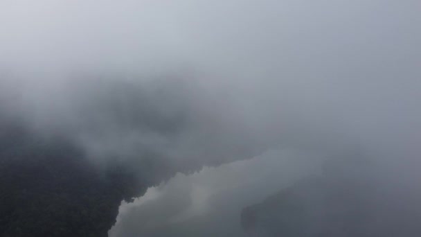 鸟瞰雾蒙蒙的早晨 湖畔的热带雨林 从天空看森林的水彩画 — 图库视频影像