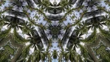 4k üçgenindeki hindistan cevizi ağacının üçgeni. Canlandırma geometrik deseni