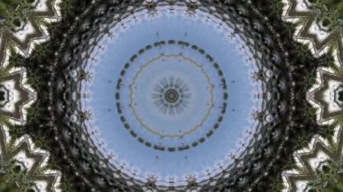 Hindistan cevizi palmiyesinin soyut arka planının dairesel yanılsaması. Canlandırma geometrik deseni