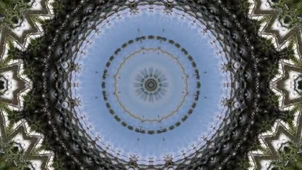 Okrągła Iluzja Optyki Abstrakcyjnego Tła Palmy Kokosowej Wzór Geometryczny Animacji — Wideo stockowe