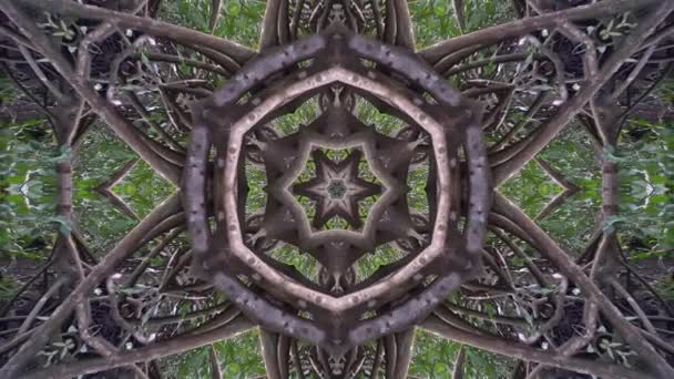Kaleidoscope View Mangrove Tree Animation Geometric Pattern — Stockvideo