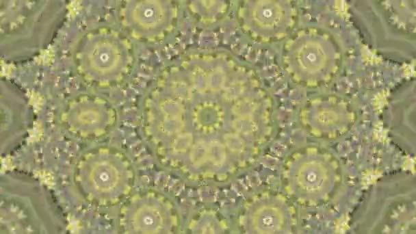 Yellow Green Circle Abstract Symmetry Background Animation Geometric Background — Stock Video