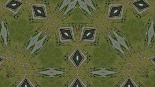 Symetria Krów Widoku Kalejdoskopu Zielonego Pola Tło Geometryczne Animacji — Wideo stockowe