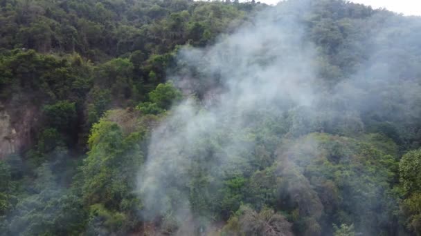 Drone Ver Humo Liberado Quema Ilegal Bosque — Vídeos de Stock