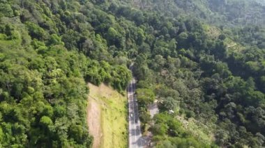 Jalan Tun Sardon 'un yeşil ormanındaki hava manzaralı yol.