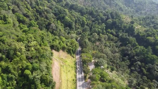 Estrada Vista Aérea Floresta Verde Jalan Tun Sardon — Vídeo de Stock