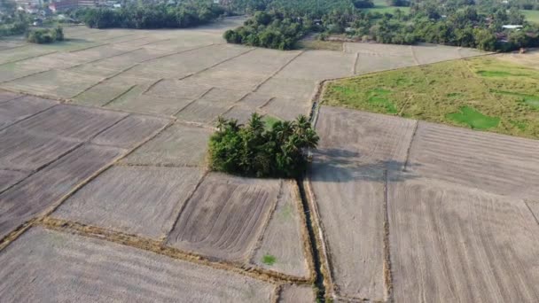 Vista Aérea Arado Campo Agrícola Dia Ensolarado Quente — Vídeo de Stock