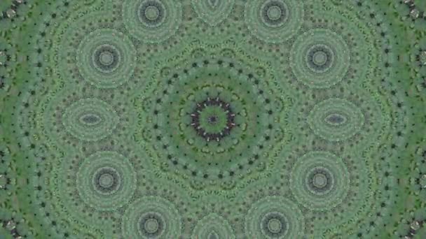 Zielone Abstrakcyjne Tło Zielonej Rośliny Widok Symetrii — Wideo stockowe