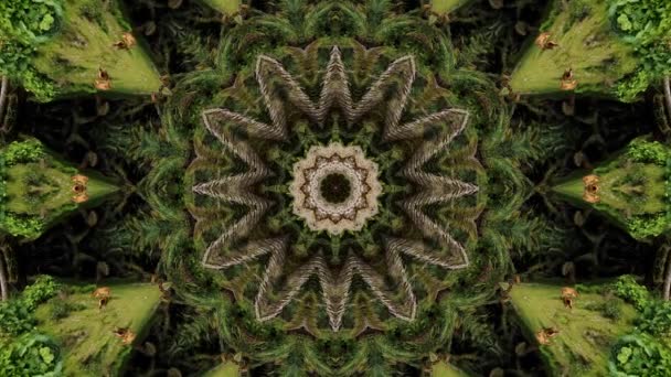 Abstract Animatie Beweging Achtergrond Van Groene Plant Symmetrische Weergave — Stockvideo