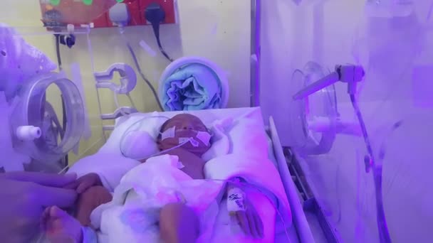 保育器でお母さんが未熟児の手に触れる 治療黄疸のためのUv光 — ストック動画