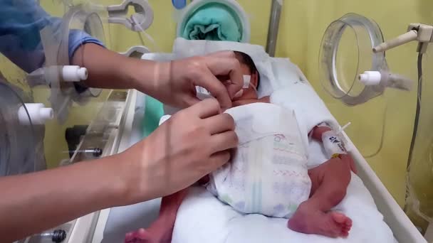 Uma Mãe Muda Mimadores Bebê Incubadora Unidade Terapia Intensiva Neonatal — Vídeo de Stock