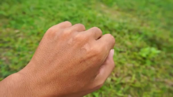 緑のフィールドで男の手の傷を閉じる — ストック動画