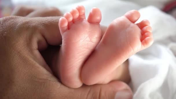 選択的フォーカス新生児の足は父ダークハンドによるタッチ — ストック動画