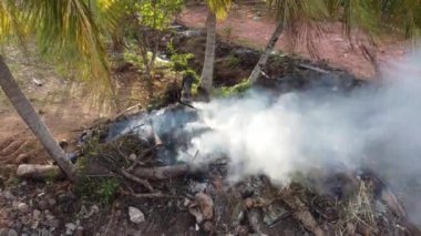 Tarla plantasyonunda dumanla ateş açın.