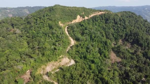Aérien Deforest Green Hill Dans Une Chaude Journée Ensoleillée — Video
