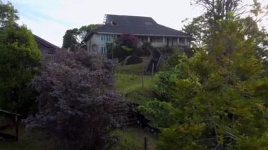 Ağacın üzerinden uçarak terk edilmiş malikâneye doğru.