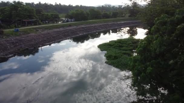 マレーシアの農村部に近い青い空を反射して川を飛び越える — ストック動画