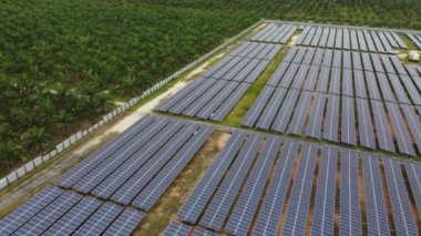 Yağ palmiyesi plantasyonunun yakınındaki hava dönen güneş paneli