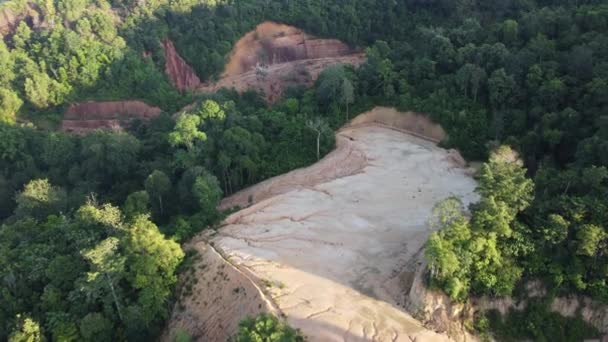 Drone Vista Desmatamento Terra Perto Selva Manhã Ensolarada — Vídeo de Stock