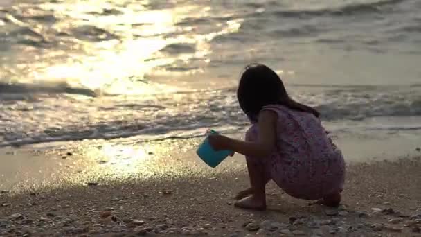 Silhouette Kislány Játszik Homok Strandon Nyári Tevékenység — Stock videók