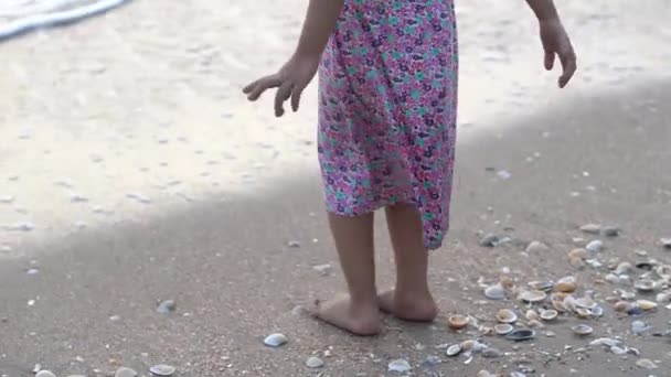Kislány Mezítláb Sétál Tengerparton Kagylóval — Stock videók