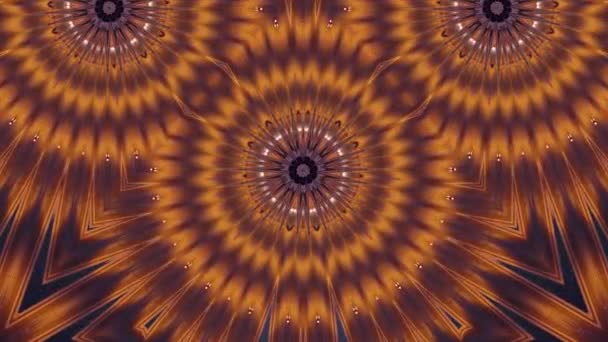 Patrón Flores Caleidoscopio Animación Abstracta — Vídeo de stock