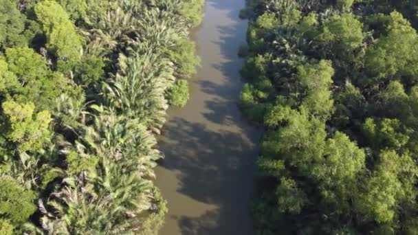 Flygfoto Ner Sungai Jawi Floden Med Nipah Träd Växa — Stockvideo