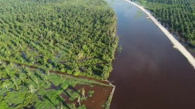 Malezya 'da hava manzaralı petrol palmiyesi yok.