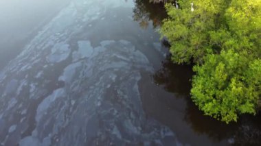 Tepeden tırnağa kuş sulak arazide yaşıyor. Nehirde kirlilik var.