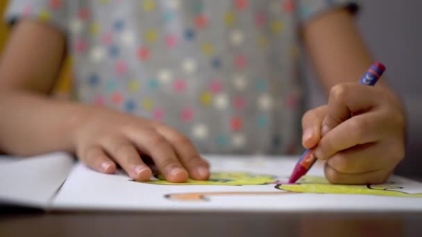 Selecteer Focus Hand Van Het Meisje Dat Tekening Kleurt — Stockvideo