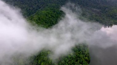 Hava kayması alçak bulut tropikal yağmur ormanı Malezya 'da göl üzerinde hareket