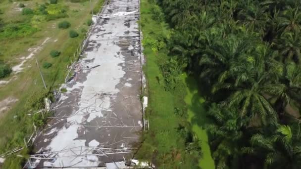 Antenna Guardare Giù Struttura Edificio Rotto Vicino Tenuta Palma Olio — Video Stock