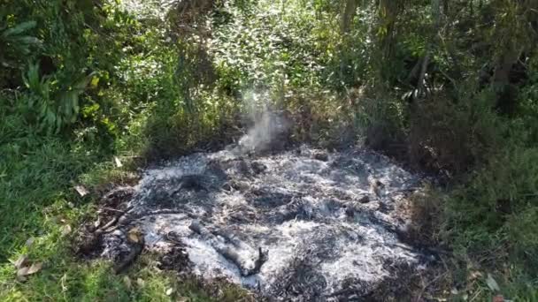 Bruciore Aperto Nella Zona Rurale Della Corsa Verde — Video Stock