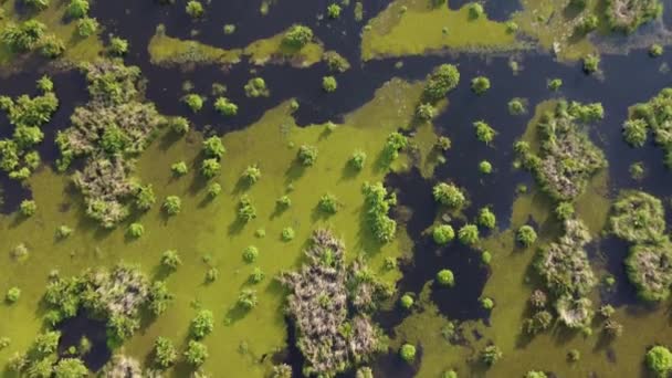 Blick Aus Der Luft Auf Torfmoore Mit Überflutetem Wasserökosystem — Stockvideo