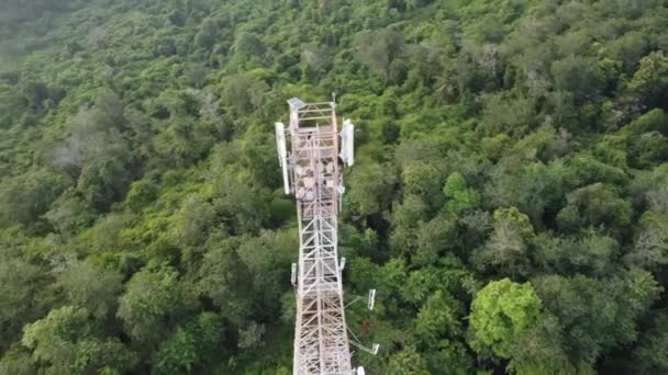 Вид Дрон Телекомунікаційної Вежі Сільській Місцевості Лісу — стокове відео