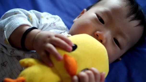 Младенец Обнимает Желтого Цыпленка Плюшевой Игрушкой Кровати — стоковое видео