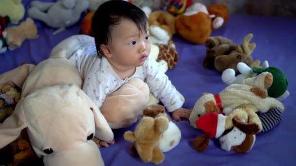 Μικρό Μωρό Σωρό Από Βελούδινα Παιχνίδια Στο Κρεβάτι — Αρχείο Βίντεο