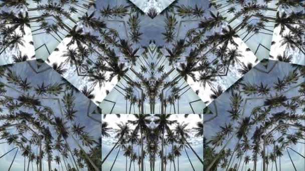 万花筒蓝天下的棕榈树 — 图库视频影像