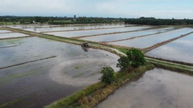 Traktörler kar sürüyor ve beyaz balıkçıl yiyecek arıyor. Hava görünümü.